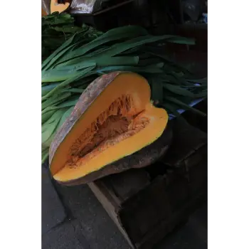 fresh pumpkin (20)-6411402-52410.webp